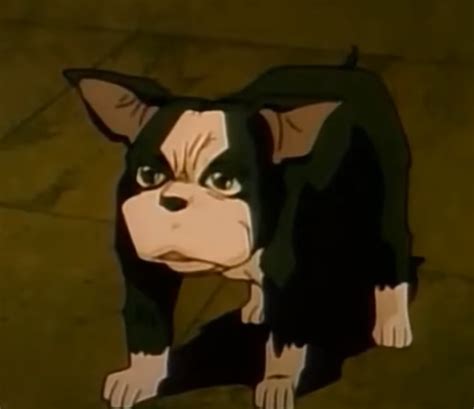 Sex R Animesexuals Life