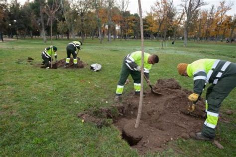 Cgt Gana Las Elecciones Parciales En Urbaser Parques Y Jardines Y