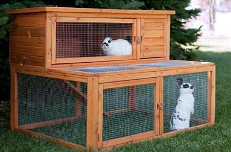Клетки для кроликов своими руками - выбор конструкции и изготовление ...