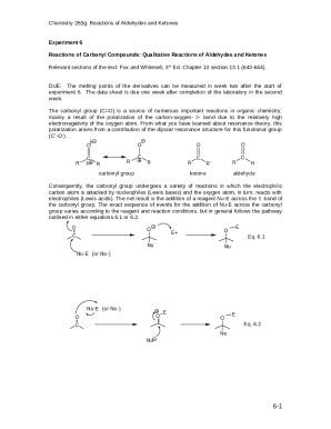 Lab Report 4 Final Copy Grade A Aldehydes And Ketones Doc Template