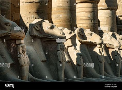 At The Entrance To Karnak Temple The Avenue Of Sphinxes Statues With