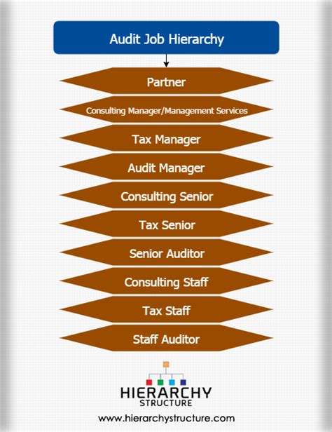 Audit Job Hierarchy Chart