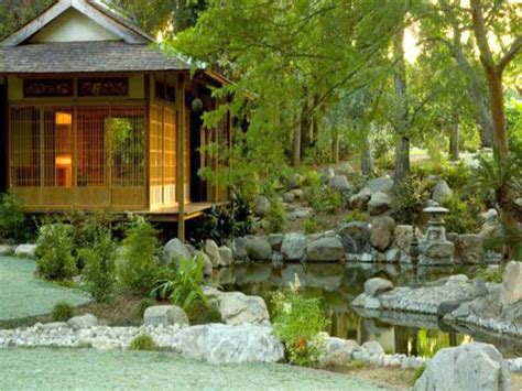 minimalist japanese garden designer with koi pond