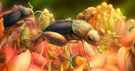 Prehistoric Beetle Trapped In Amber Was Among First Insects To Pollinate