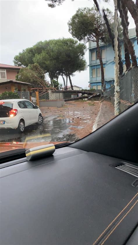 Ultim Ora Nubifragio Su Massa Decine Di Alberi Spezzati Auto