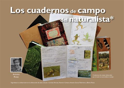 Riskant Kinematik Faul Que Es Un Cuaderno De Campo Genetisch