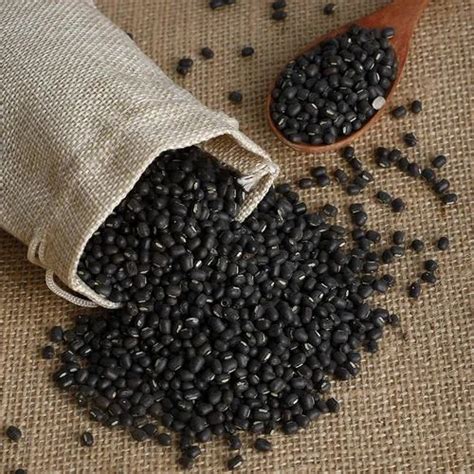 Black Sabut Urad Dal For Food Packaging Type Loose At 90 Kg In