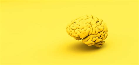 Premium Photo Yellow Brain