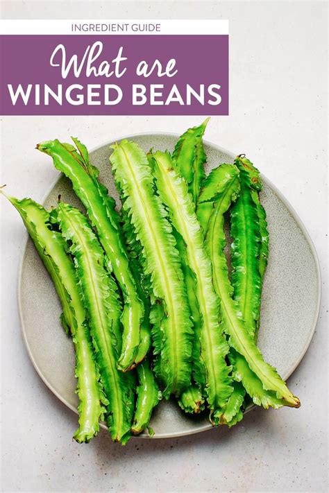 What are Winged Beans - Full of Plants