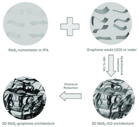 Schematic Illustration For The Construction Of 3d Mos2 Graphene