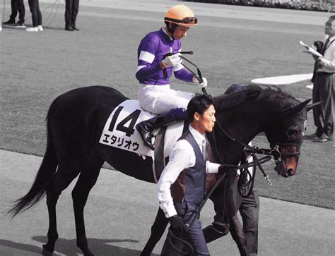 【有馬記念2019予想】大駆け狙いたい穴馬！人気急落のエタリオウ 競馬ヘッドライン