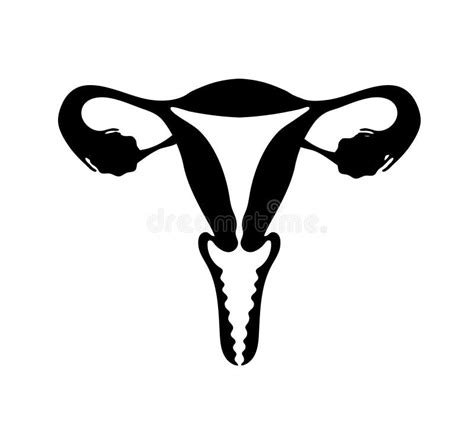 Black Silhouette Of Female Uterus Flat Vector Illustration Female