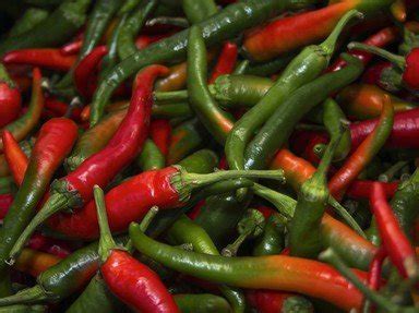 Scoville Scale Peppers Quiz - This Quiz Packs FIRE! | Food & Drink | 15 ...