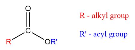 Draw the structure of ethyl methanoate. | Quizlet