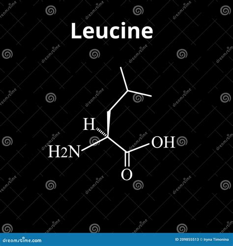 Amino Acid Leucine. Chemical Molecular Formula of Amino Acid Leucine ...