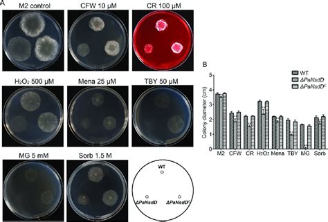 Growth Of P Anserina Strains On M2 Plates Exposed To Abiotic Download Scientific Diagram