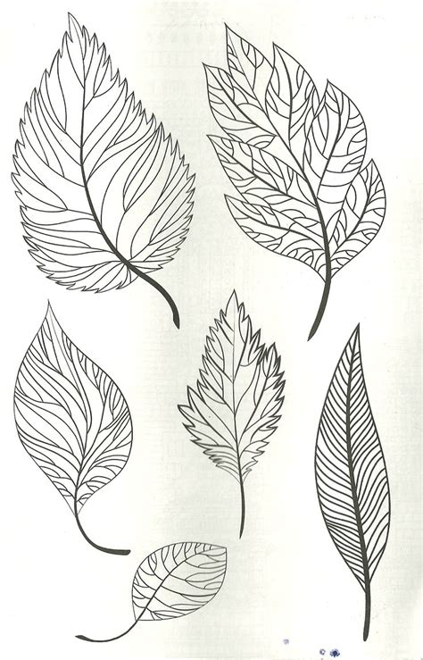 Pin By Merve Bar N On H Zl Kaydedilenler In Leaf Coloring Page