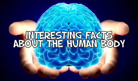 Learn Certain Interesting Facts About Our Body Ejournalz