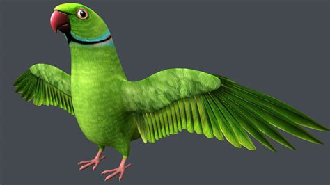 Parrot Free 3D Models download - Free3D