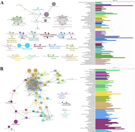 Functional Enrichment Analysis Depicted The Biological Pathways And