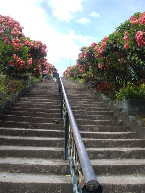 La Mesa Eco Park, QC | Beautiful places, Philippines, Park