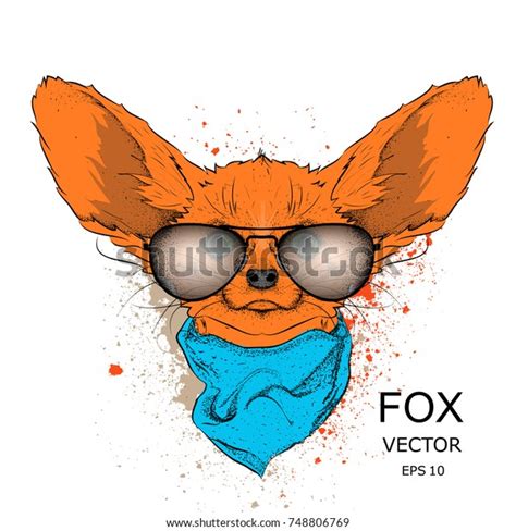 Drawn Fox Sunglasses Illustration Vector Illustration Stock Vector