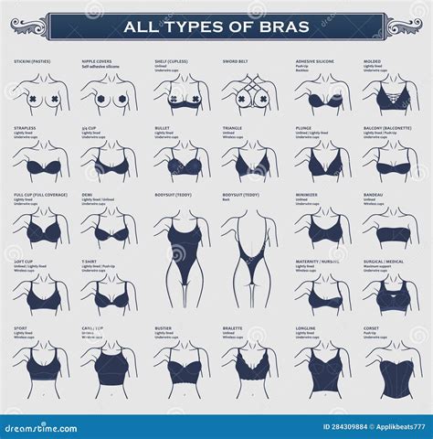 Types Of Bras The Most Complete Vector Collection Of Lingerie Stock