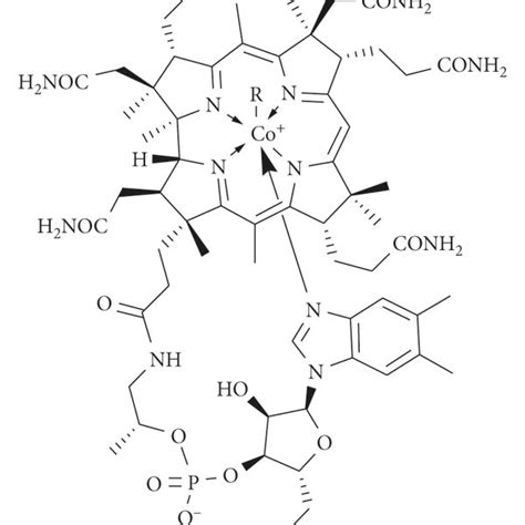 Vitamin B12 Chemical Structure Download Scientific Diagram