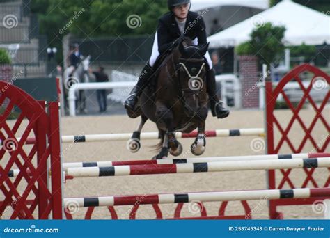 Bluegrass Festival Horse Show 2022 Lii Editorial Stock Photo Image Of