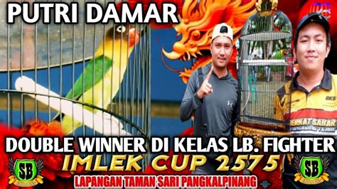 Viral Aksi Lovebird Putri Damar Hancurkan Juara Bertahan Di Kelas Lb