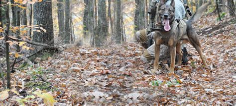 Supporting Americas Elite Canines Through The Warrior Dog Foundation