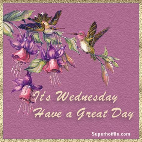 Wednesday Greetings Good Morning Wednesday Greetings GIF - Wednesday ...