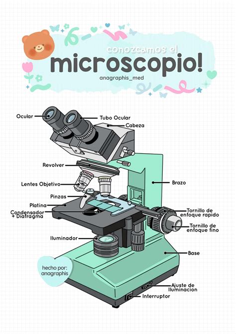 El Microscopio anagraphis med uDocz en 2024 Enseñanza de química