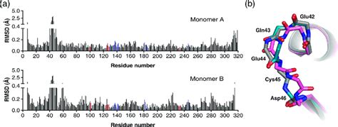 Comparison of the overall structure of the Arginase-1/ABH complexes at ...