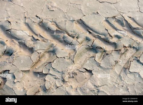 Dried Mud Pattern With Recent Tyre Tracks Stock Photo Alamy