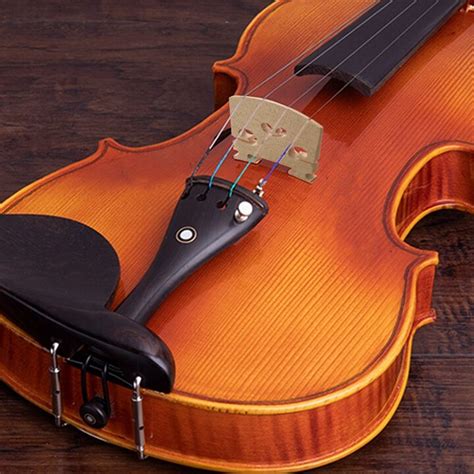 La Funci N Del Puente En Un Violonchelo Todo Lo Que Debes Saber