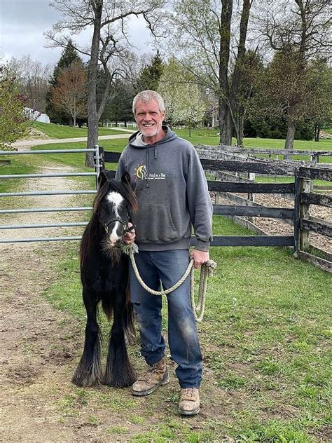 Top Quality Purebred Mini Black Gypsy Vanner Colt 129691242 Horsesbuy