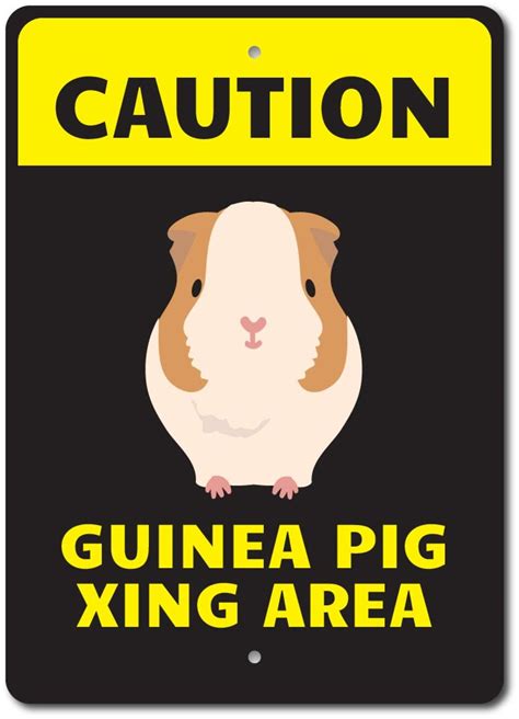 Guinea Pig Sign Guinea Pig Gift Caution Pet Sign Pet Etsy