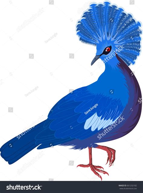 Victoria Crown Pigeons Over Royalty Free Licensable Stock