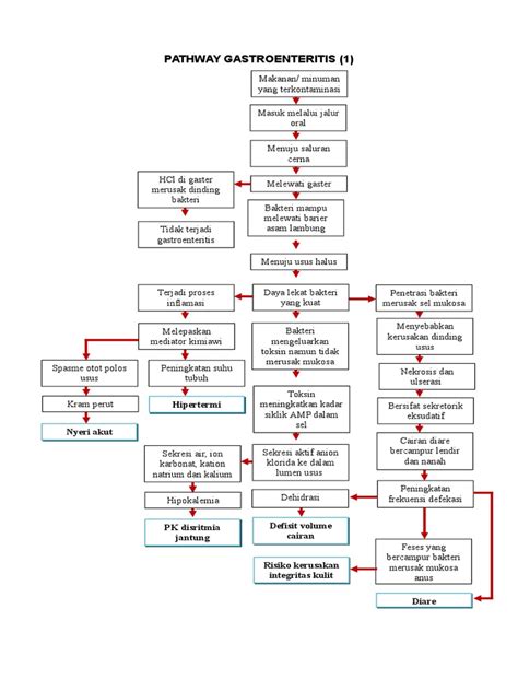 Pathway Gastroenteritis