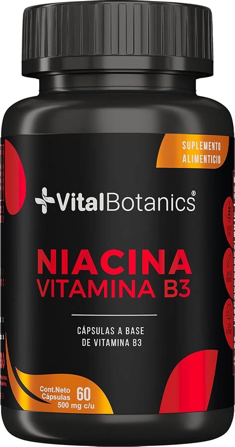 Vitalbotanics Niacina Vitamina B Con Capsulas De Mg Amazon