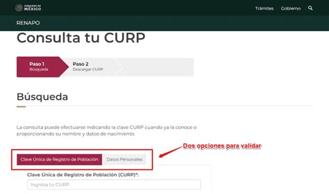 Como Validar Curp En Línea [guía Rápida]