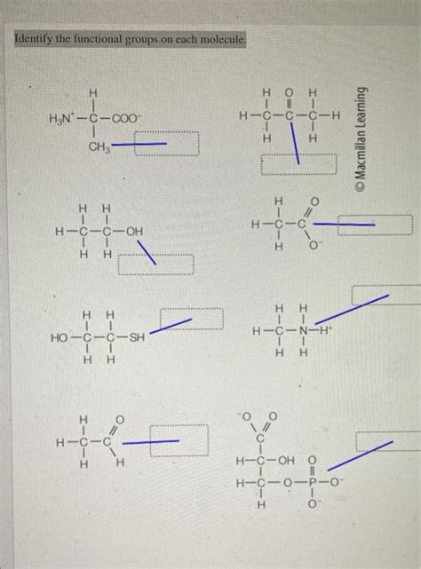 Identify The Functional Groups On Each Chegg