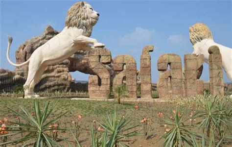 Etawah Lion Safari to open without Lion segment for public on November 24 – India TV