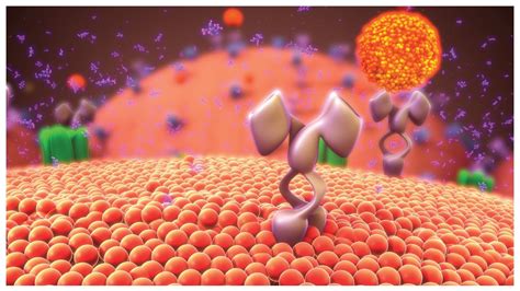 Novel Drug Targets From Phenotypic Screening Drug Discovery World Ddw