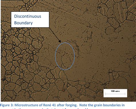 Figure 3 From Discontinuous Grain Boundaries Of Forged René 41