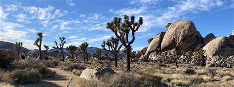 Joshua Tree Hiking Trails