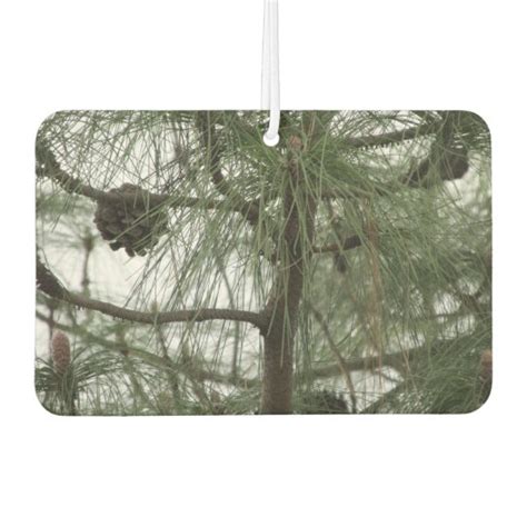 Pine Tree Car Air Freshener | Zazzle.com