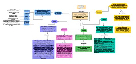 Mapa Conceptual Factores De Riesgo Explosionesfugasderrames E