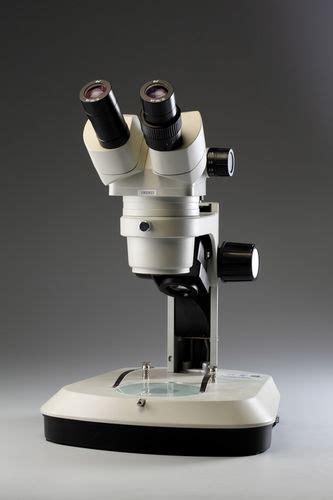 Stereo Zoom Microscope Manufacturer,Exporter,Supplier from Delhi,India